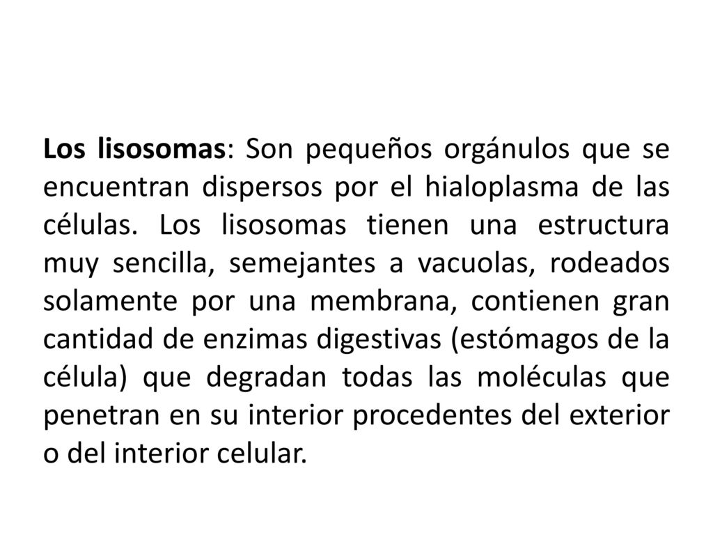 Los lisosomas: Son pequeños orgánulos que se encuentran dispersos por el hialoplasma de las células.