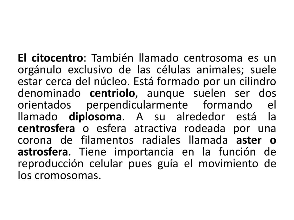 El citocentro: También llamado centrosoma es un orgánulo exclusivo de las células animales; suele estar cerca del núcleo.