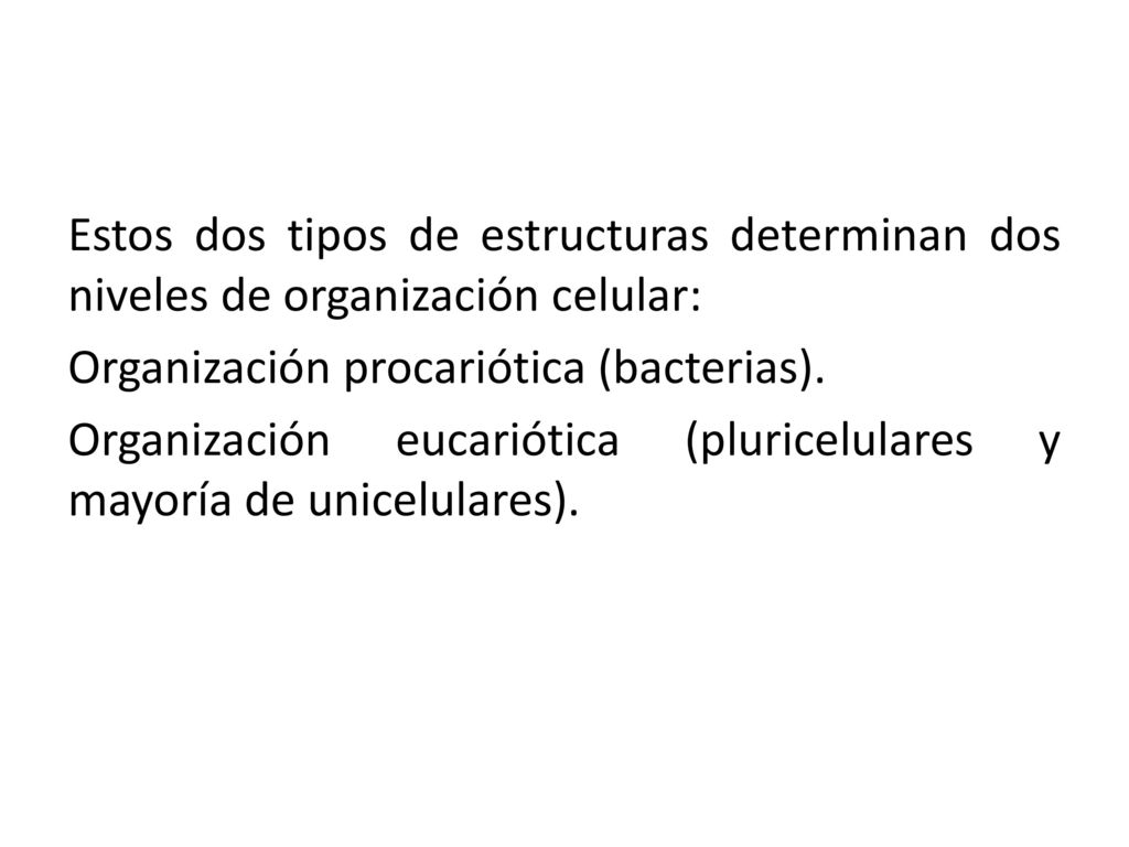 Estos dos tipos de estructuras determinan dos niveles de organización celular: Organización procariótica (bacterias).