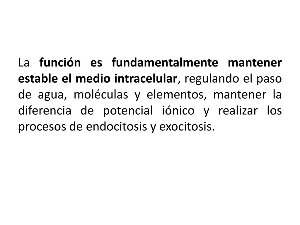 La función es fundamentalmente mantener estable el medio intracelular, regulando el paso de agua, moléculas y elementos, mantener la diferencia de potencial iónico y realizar los procesos de endocitosis y exocitosis.