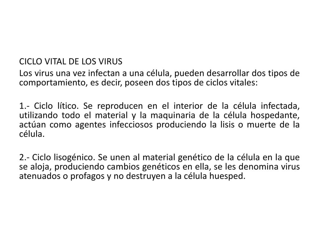 CICLO VITAL DE LOS VIRUS Los virus una vez infectan a una célula, pueden desarrollar dos tipos de comportamiento, es decir, poseen dos tipos de ciclos vitales: 1.- Ciclo lítico.