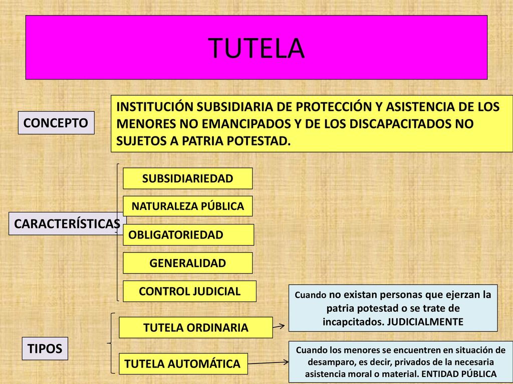 TUTELA INSTITUCIÓN SUBSIDIARIA DE PROTECCIÓN Y ASISTENCIA DE LOS MENORES NO EMANCIPADOS Y DE LOS DISCAPACITADOS NO SUJETOS A PATRIA POTESTAD.