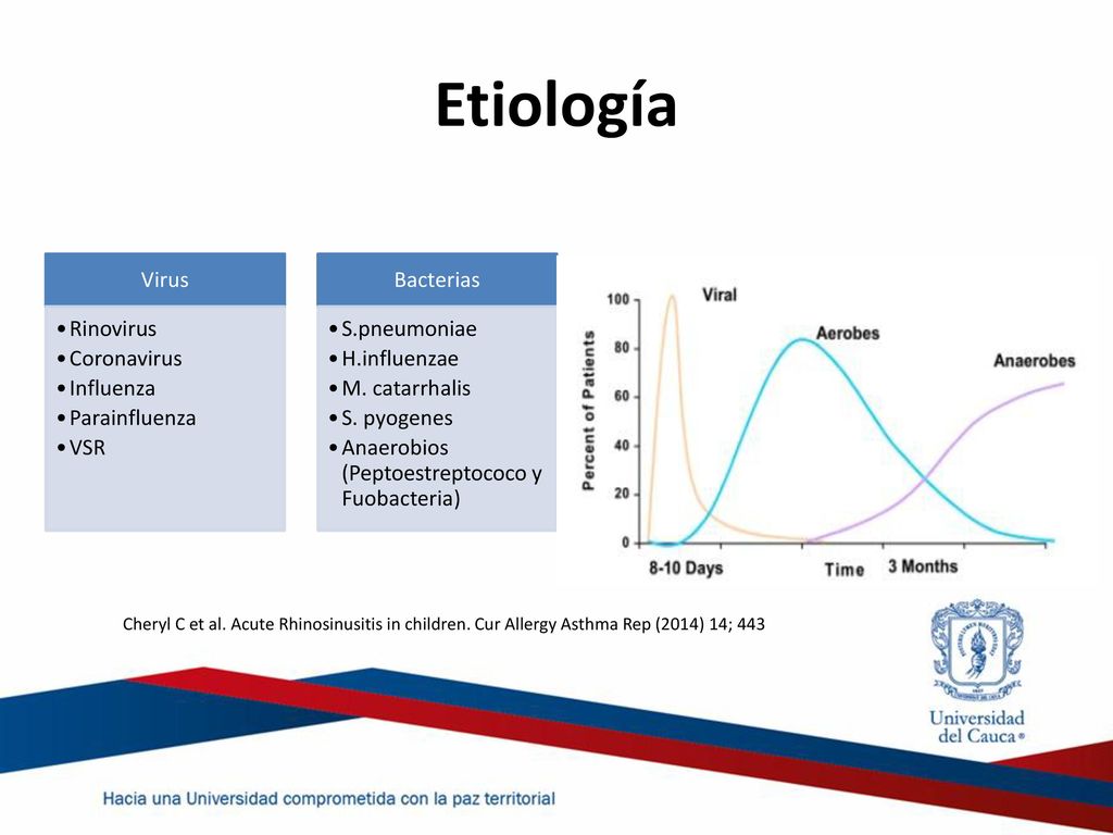Etiología Virus. Rinovirus. Coronavirus. Influenza. Parainfluenza. VSR. Bacterias. S.pneumoniae.