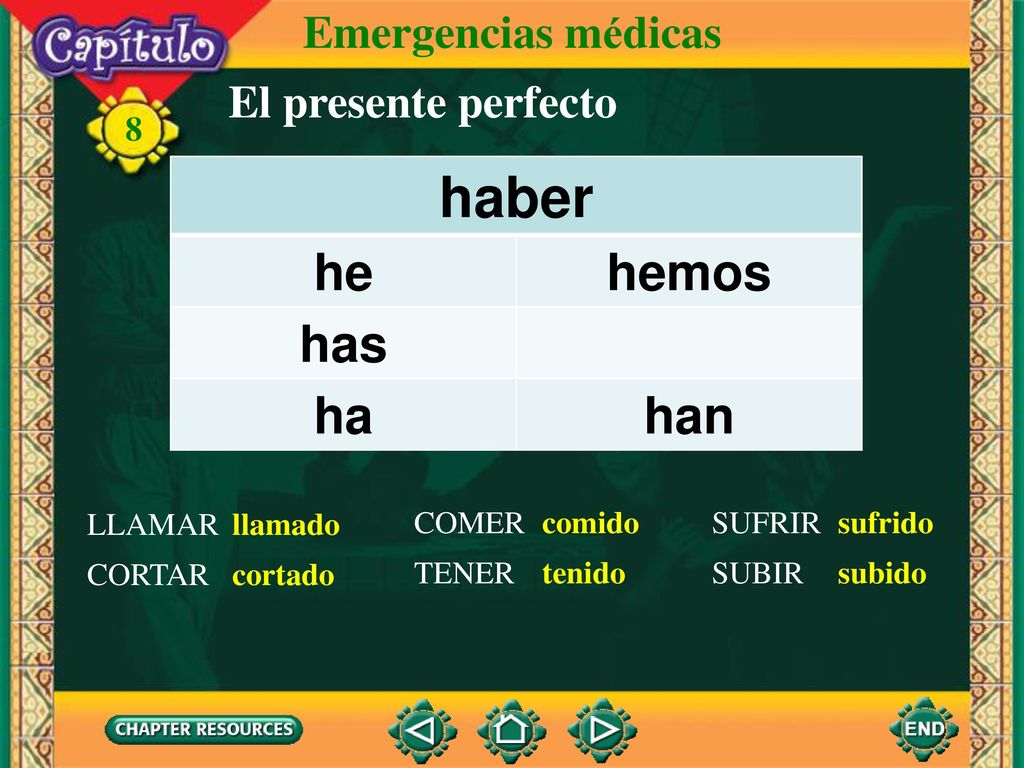 haber he hemos has ha han Emergencias médicas El presente perfecto