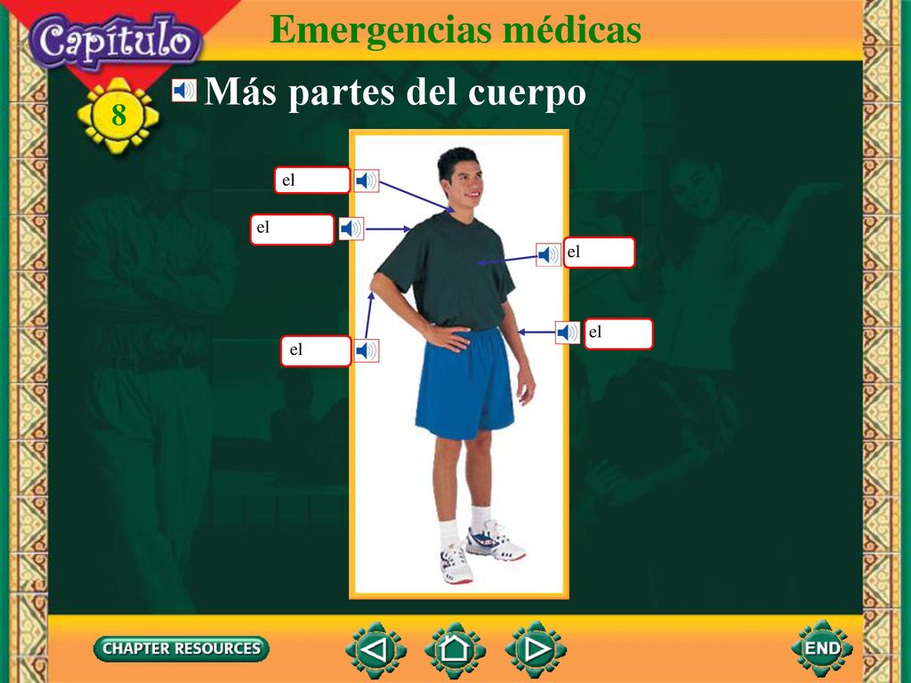 Emergencias médicas Más partes del cuerpo el el el el el