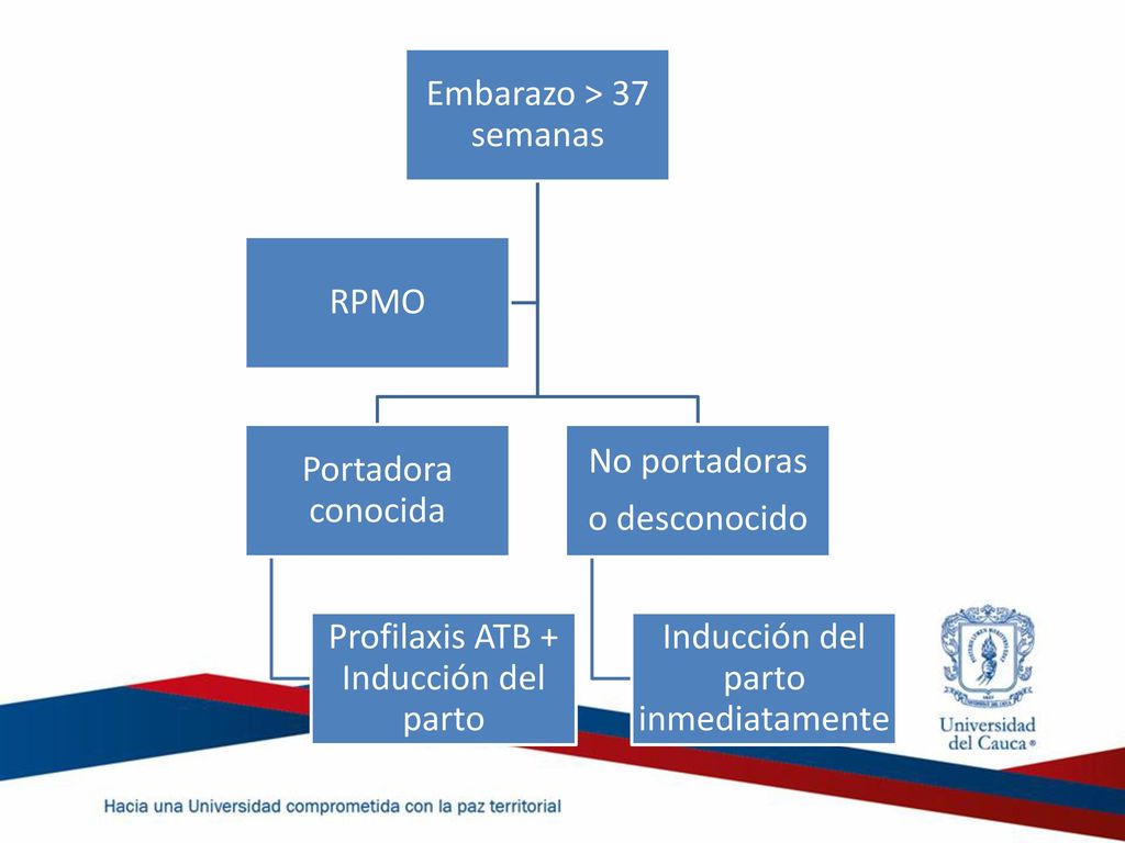 Profilaxis ATB + Inducción del parto No portadoras o desconocido
