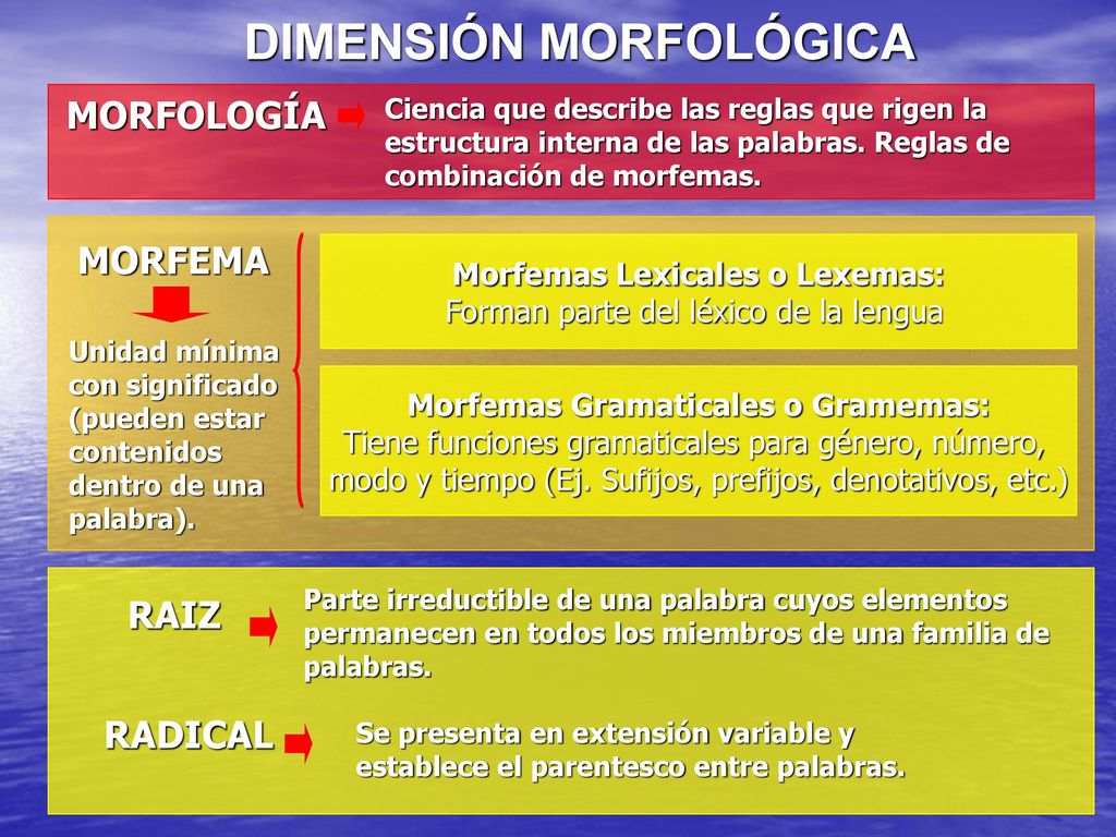 Morfemas Lexicales o Lexemas: Morfemas Gramaticales o Gramemas: