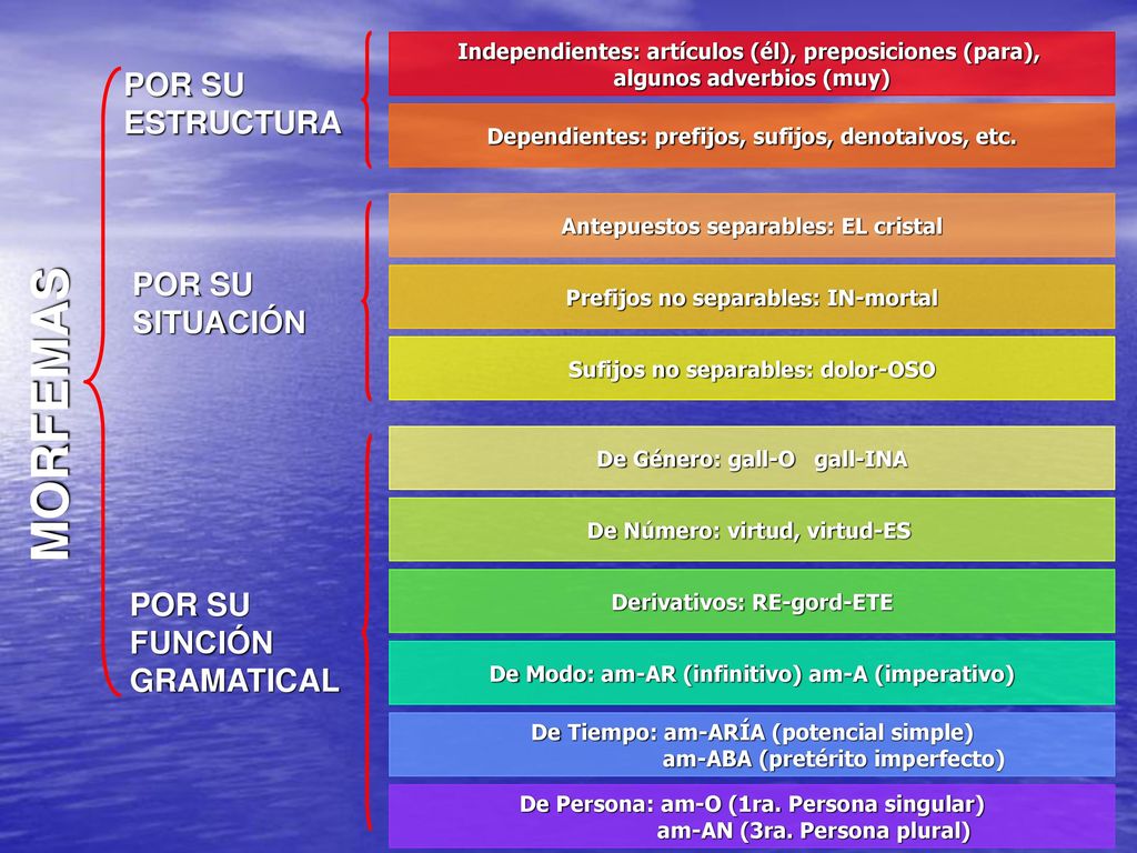 MORFEMAS POR SU ESTRUCTURA POR SU SITUACIÓN POR SU FUNCIÓN GRAMATICAL