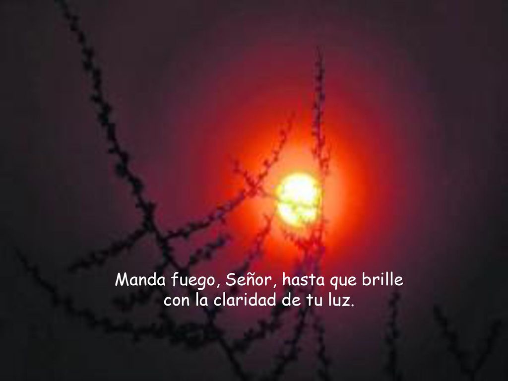 Manda fuego, Señor, hasta que brille con la claridad de tu luz.