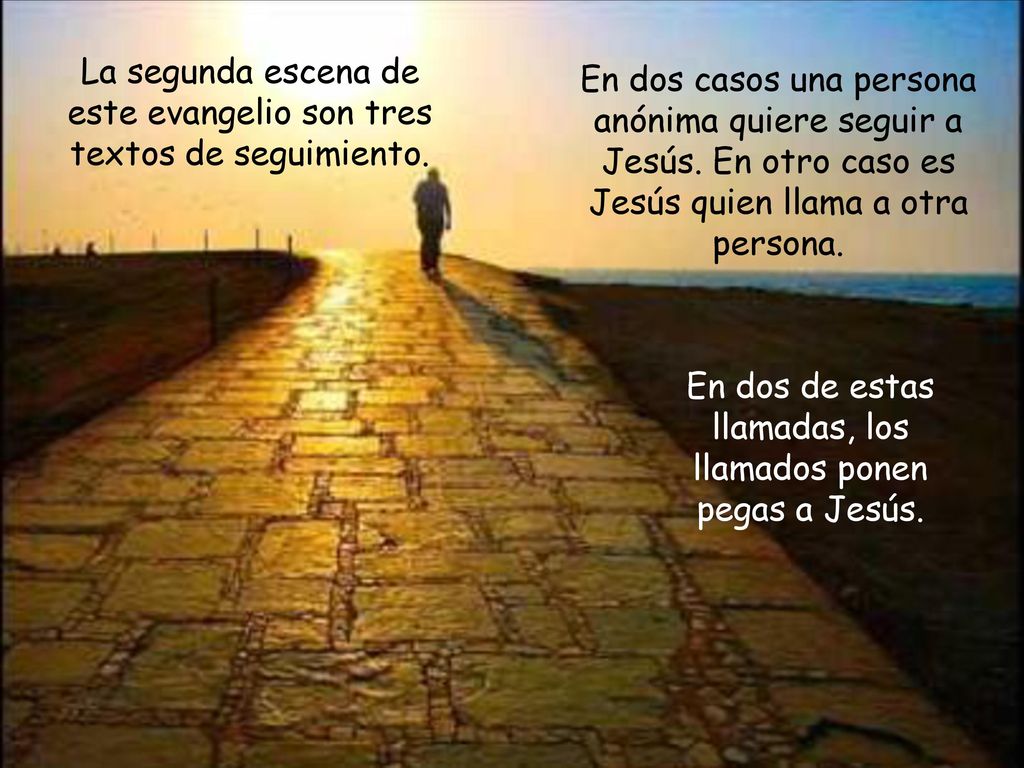 La segunda escena de este evangelio son tres textos de seguimiento.