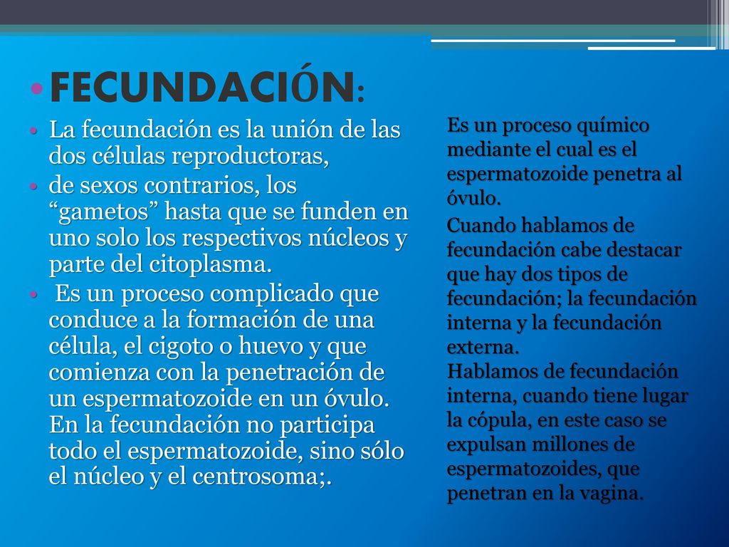 FECUNDACIÓN: La fecundación es la unión de las dos células reproductoras,