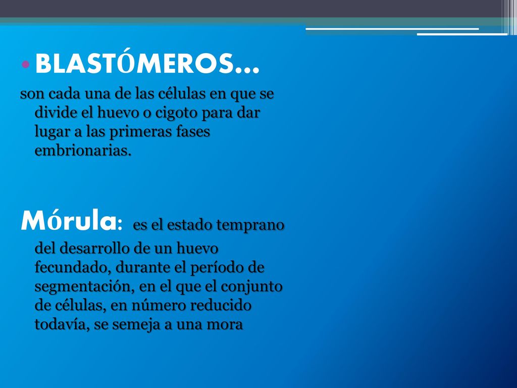BLASTÓMEROS… son cada una de las células en que se divide el huevo o cigoto para dar lugar a las primeras fases embrionarias.