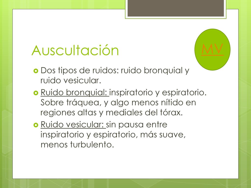 Auscultación MV. Dos tipos de ruidos: ruido bronquial y ruido vesicular.