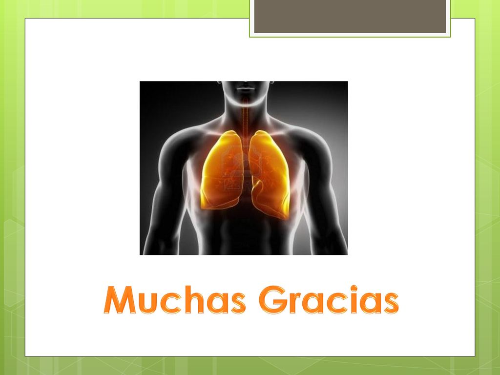 Muchas Gracias