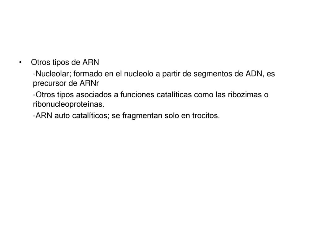Otros tipos de ARN -Nucleolar; formado en el nucleolo a partir de segmentos de ADN, es precursor de ARNr.