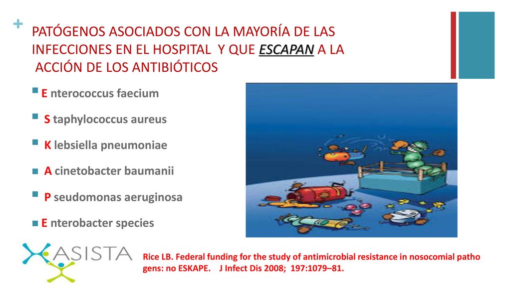 PATÓGENOS ASOCIADOS CON LA MAYORÍA DE LAS INFECCIONES EN EL HOSPITAL Y QUE ESCAPAN A LA ACCIÓN DE LOS ANTIBIÓTICOS