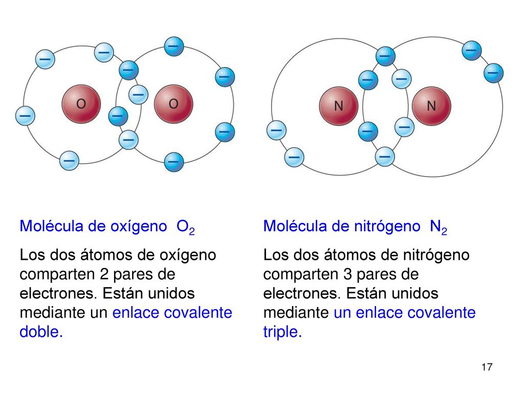 Molécula de oxígeno O2 Los dos átomos de oxígeno comparten 2 pares de electrones. Están unidos mediante un enlace covalente doble.