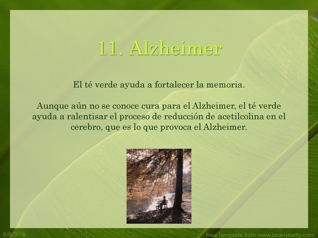 El té verde ayuda a fortalecer la memoria.