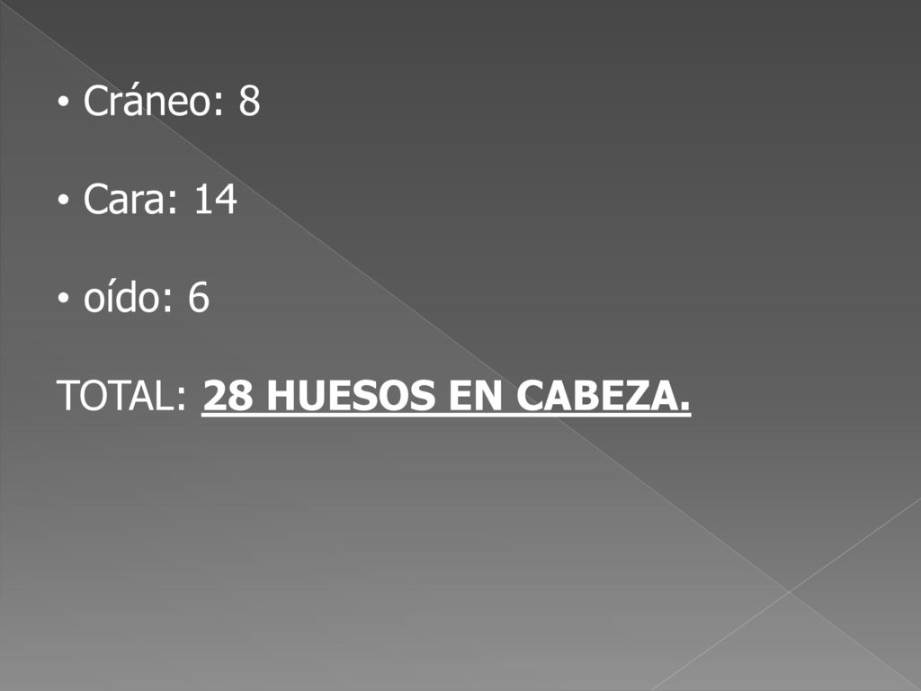 Cráneo: 8 Cara: 14 oído: 6 TOTAL: 28 HUESOS EN CABEZA.