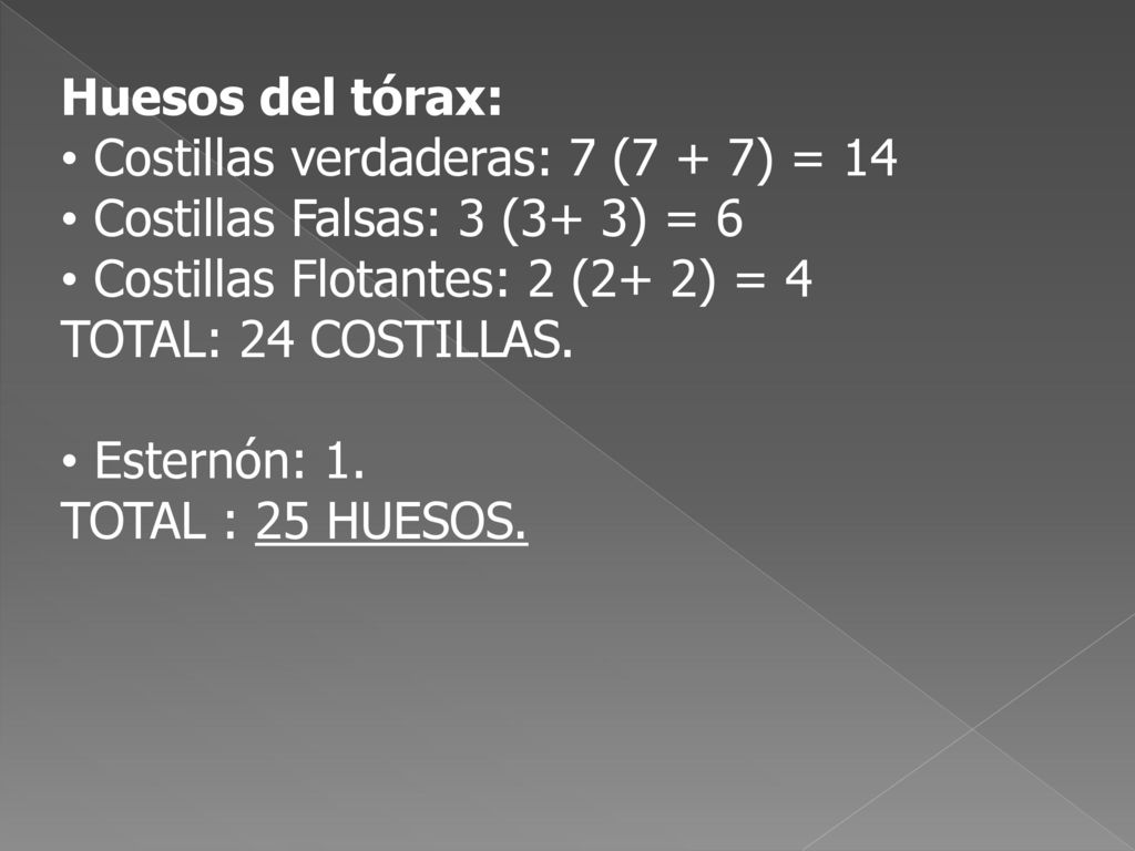 Huesos del tórax: Costillas verdaderas: 7 (7 + 7) = 14. Costillas Falsas: 3 (3+ 3) = 6. Costillas Flotantes: 2 (2+ 2) = 4.