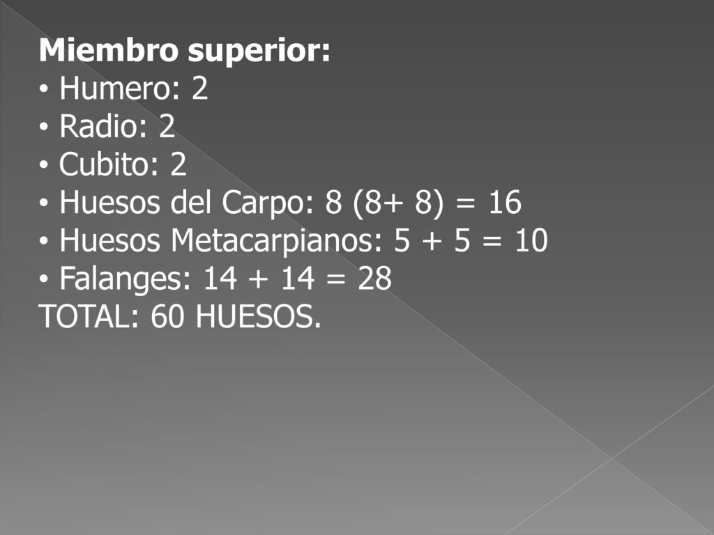 Miembro superior: Humero: 2. Radio: 2. Cubito: 2. Huesos del Carpo: 8 (8+ 8) = 16. Huesos Metacarpianos: = 10.