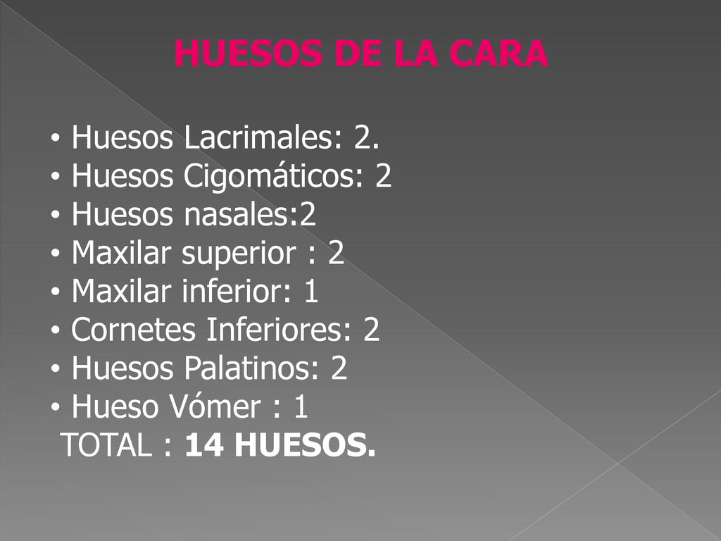 HUESOS DE LA CARA Huesos Lacrimales: 2. Huesos Cigomáticos: 2