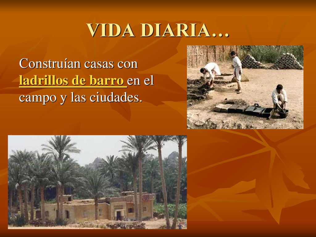 VIDA DIARIA… Construían casas con ladrillos de barro en el campo y las ciudades.