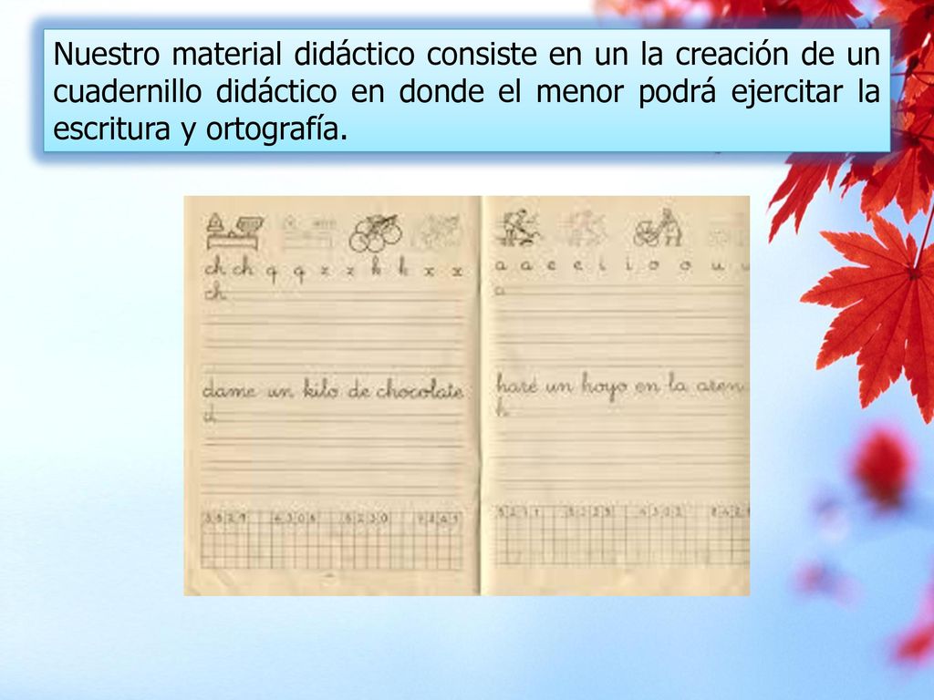 Nuestro material didáctico consiste en un la creación de un cuadernillo didáctico en donde el menor podrá ejercitar la escritura y ortografía.