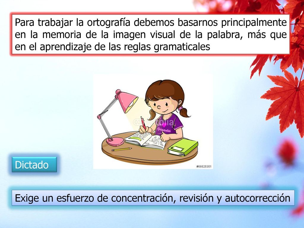 Para trabajar la ortografía debemos basarnos principalmente en la memoria de la imagen visual de la palabra, más que en el aprendizaje de las reglas gramaticales