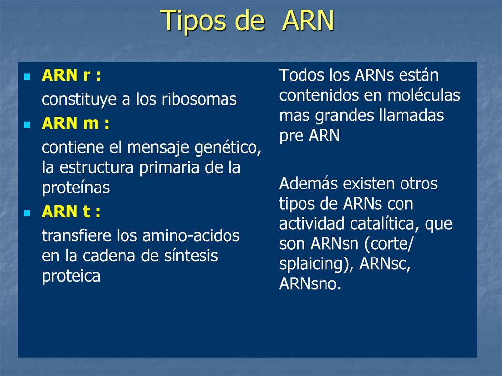 Tipos de ARN ARN r : constituye a los ribosomas ARN m :