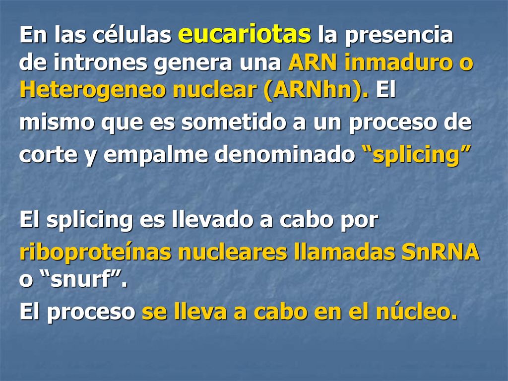 En las células eucariotas la presencia de intrones genera una ARN inmaduro o Heterogeneo nuclear (ARNhn). El