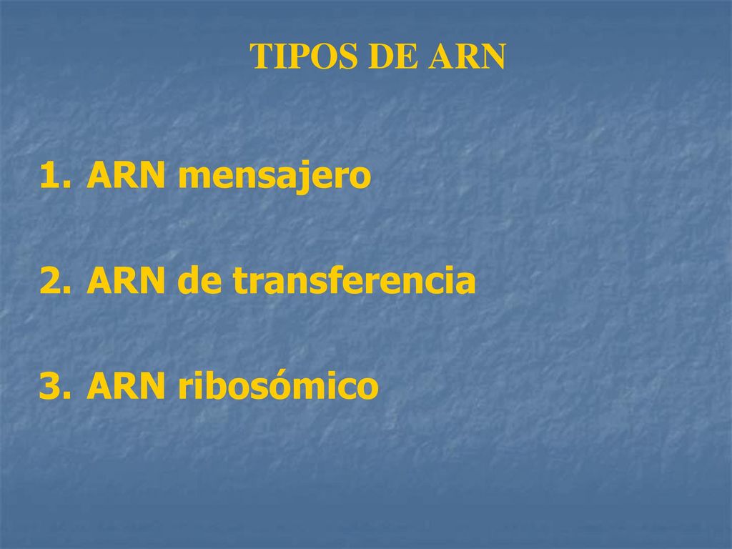 TIPOS DE ARN 1. ARN mensajero 2. ARN de transferencia 3. ARN ribosómico