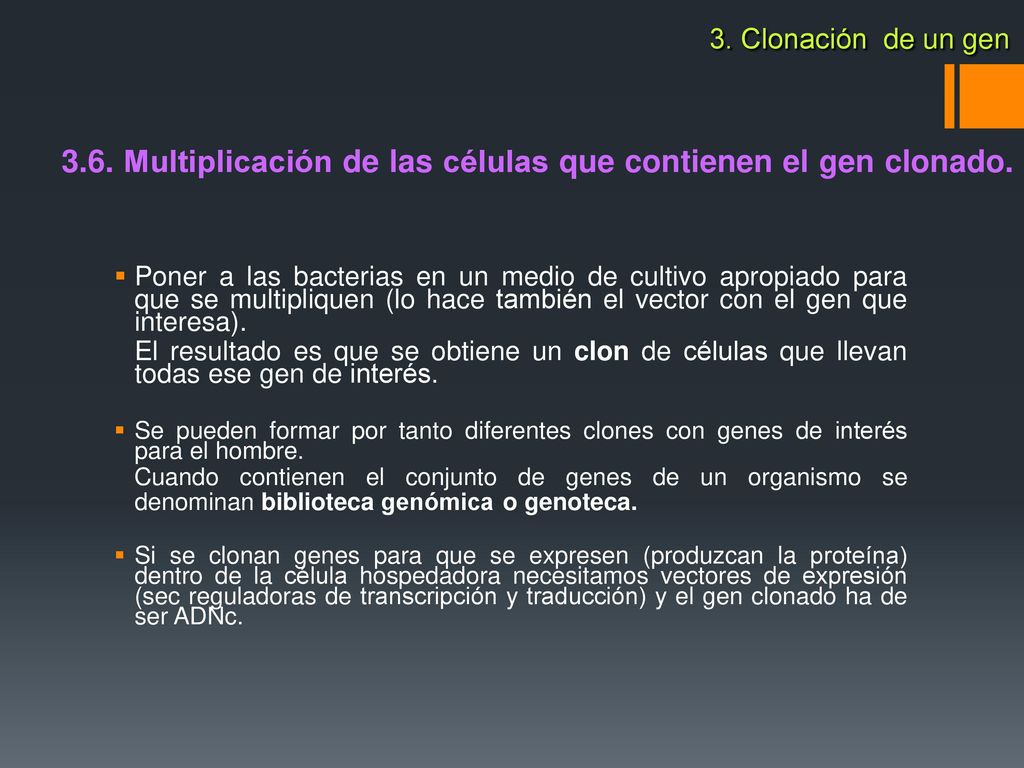 3.6. Multiplicación de las células que contienen el gen clonado.