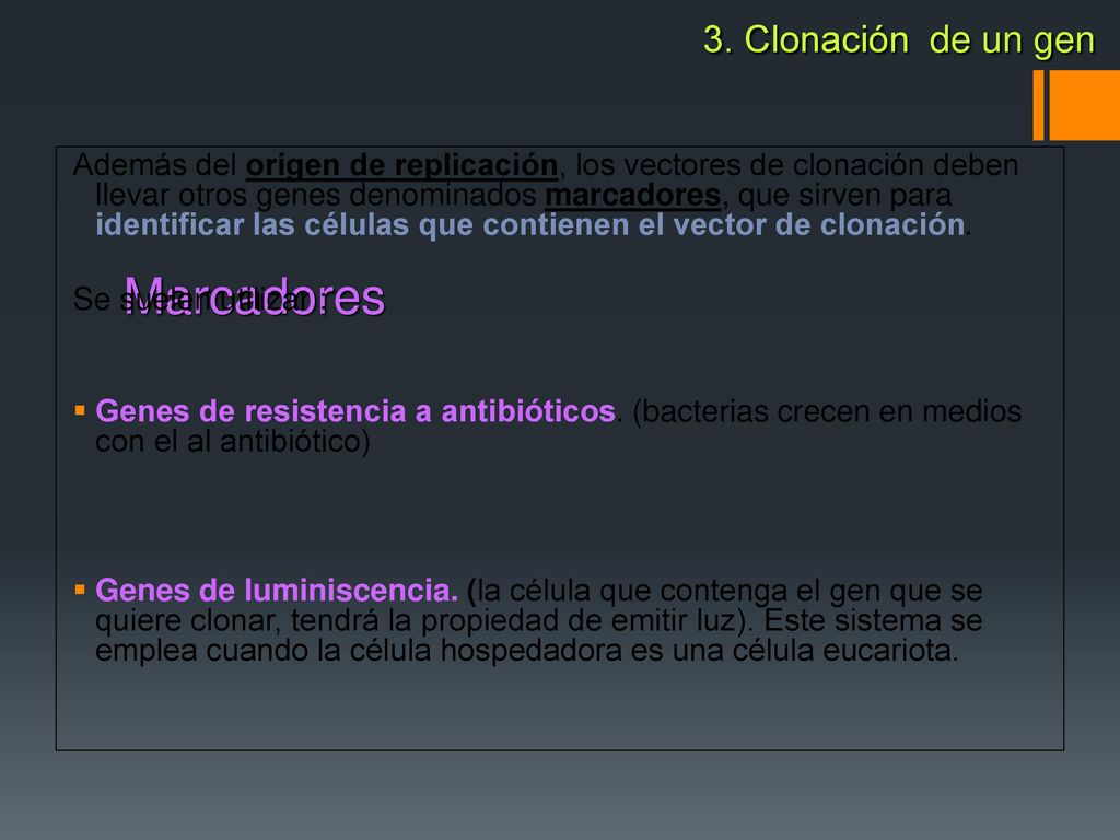 Marcadores 3. Clonación de un gen