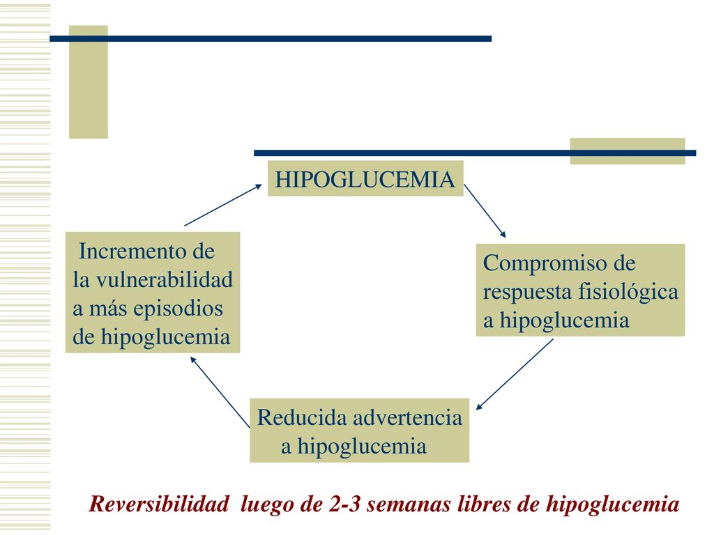 HIPOGLUCEMIA Incremento de. la vulnerabilidad. a más episodios. de hipoglucemia. Compromiso de.