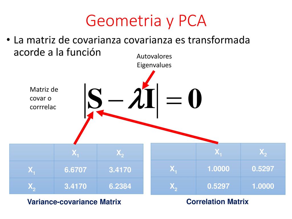Geometria y PCA La matriz de covarianza covarianza es transformada acorde a la función. Autovalores.