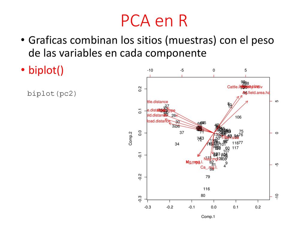 PCA en R Graficas combinan los sitios (muestras) con el peso de las variables en cada componente. biplot()