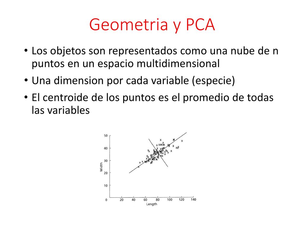 Geometria y PCA Los objetos son representados como una nube de n puntos en un espacio multidimensional.