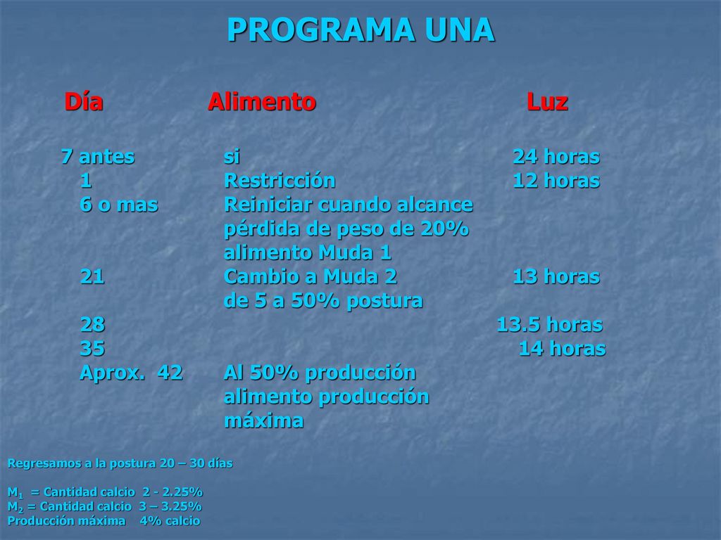 PROGRAMA UNA 7 antes si 24 horas 1 Restricción 12 horas