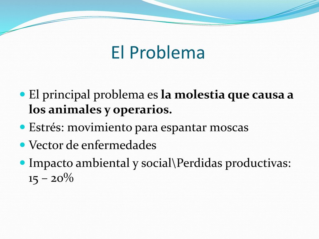 El Problema El principal problema es la molestia que causa a los animales y operarios. Estrés: movimiento para espantar moscas.