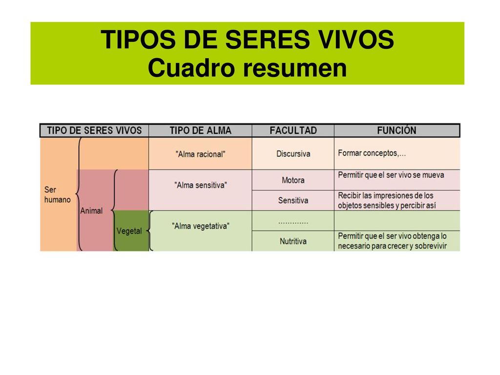 TIPOS DE SERES VIVOS Cuadro resumen