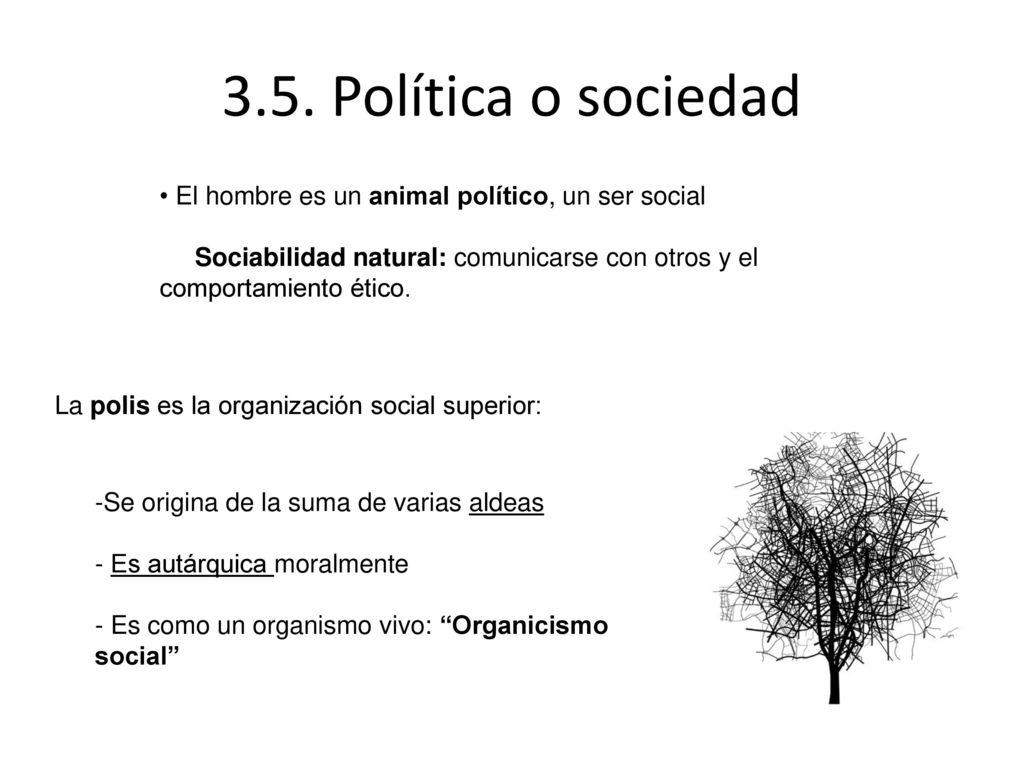 3.5. Política o sociedad El hombre es un animal político, un ser social. Sociabilidad natural: comunicarse con otros y el comportamiento ético.