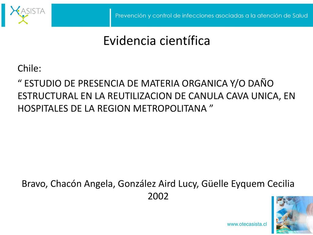 Bravo, Chacón Angela, González Aird Lucy, Güelle Eyquem Cecilia 2002
