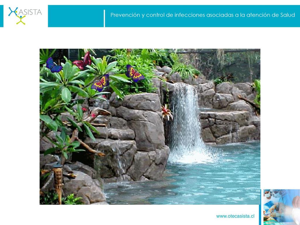 Prevención y control de infecciones asociadas a la atención de Salud