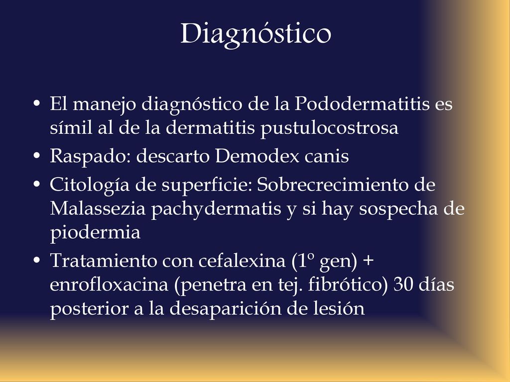 Diagnóstico El manejo diagnóstico de la Pododermatitis es símil al de la dermatitis pustulocostrosa.