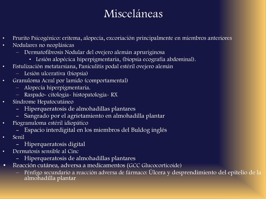 Misceláneas Prurito Psicogénico: eritema, alopecía, excoriación principalmente en miembros anteriores.