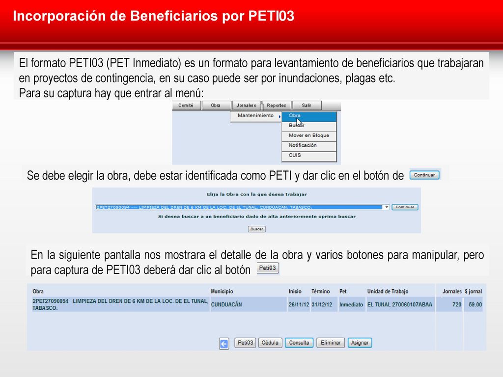 Incorporación de Beneficiarios por PETI03