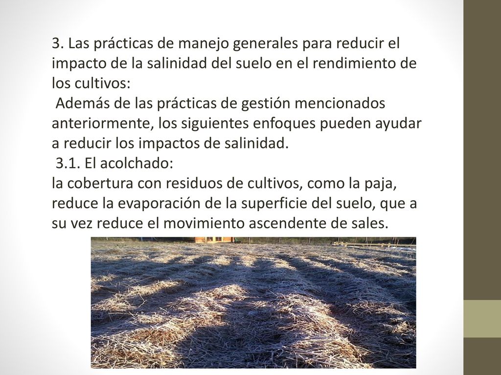 3. Las prácticas de manejo generales para reducir el impacto de la salinidad del suelo en el rendimiento de los cultivos: