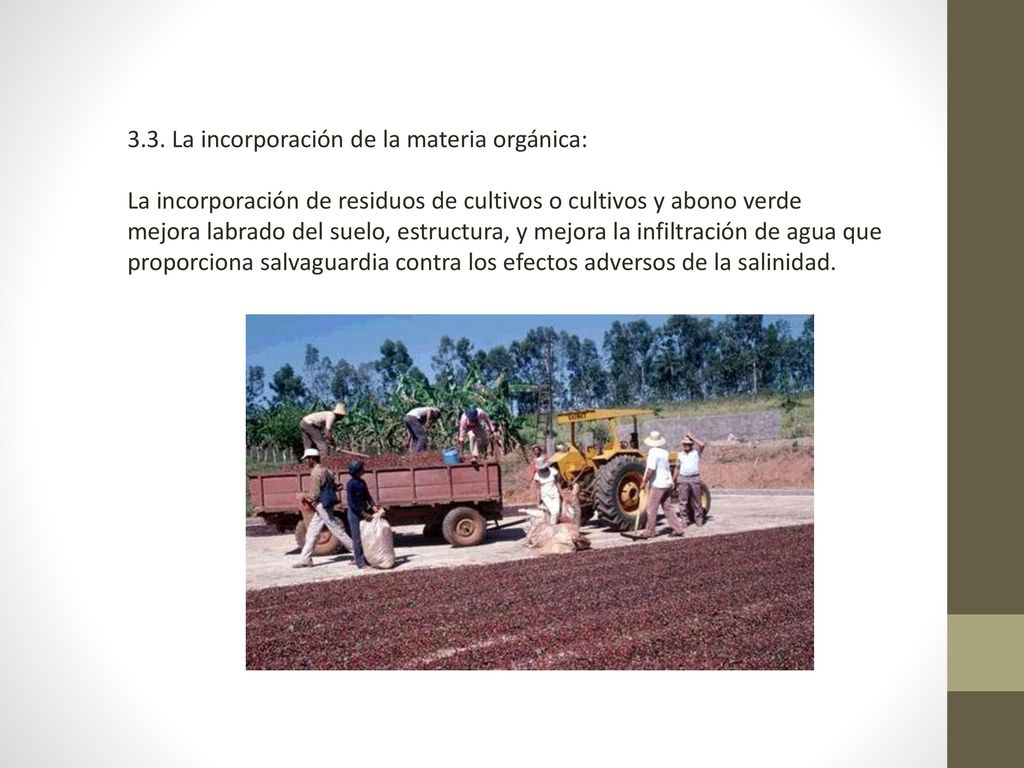 3.3. La incorporación de la materia orgánica: