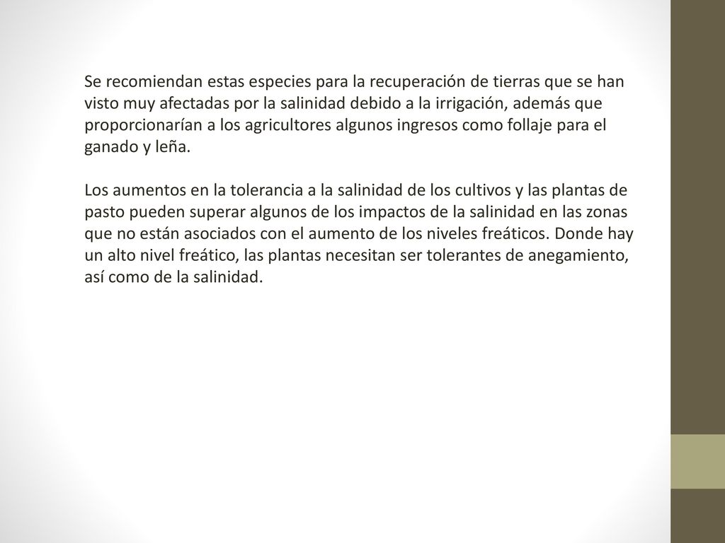 Se recomiendan estas especies para la recuperación de tierras que se han visto muy afectadas por la salinidad debido a la irrigación, además que proporcionarían a los agricultores algunos ingresos como follaje para el ganado y leña.